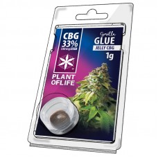 Gorilla Glue Jelly CBG 33%